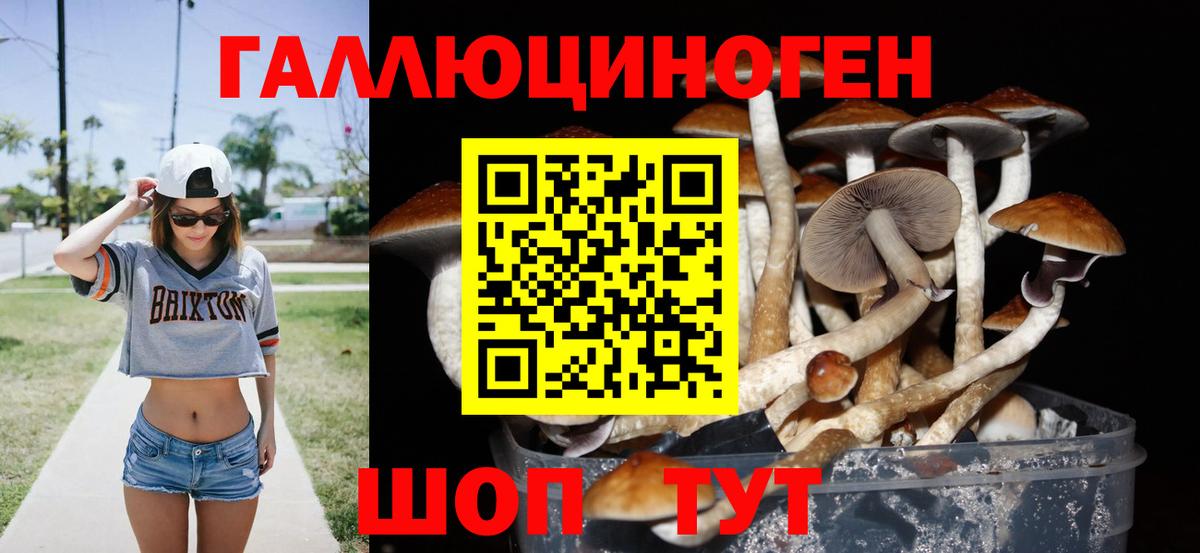 Торжок  Псилоцибиновые грибы Cubensis  Галлюциногенные грибы GOLDEN TEACHER  Вход с VPN 