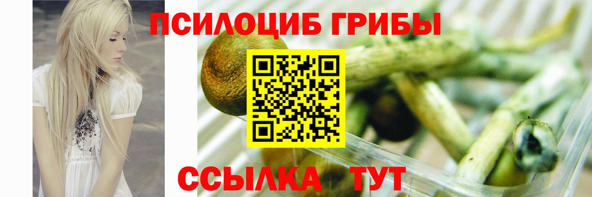 Галлюциногенные грибы Magic Shrooms Торжок